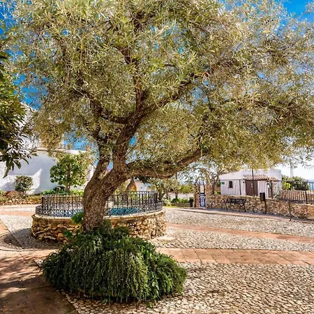 Violetas, Villa Nerja